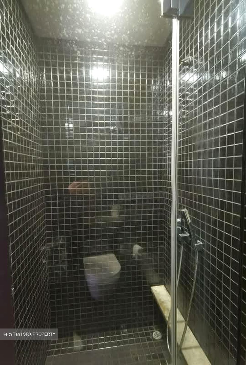 Skysuites@Anson (D2), Apartment #584405611